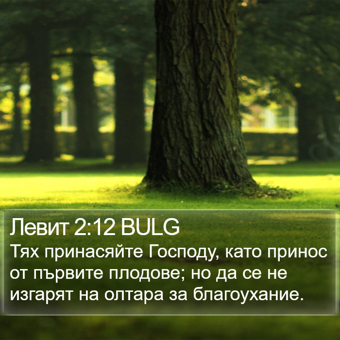 Левит 2:12 BULG Bible Study