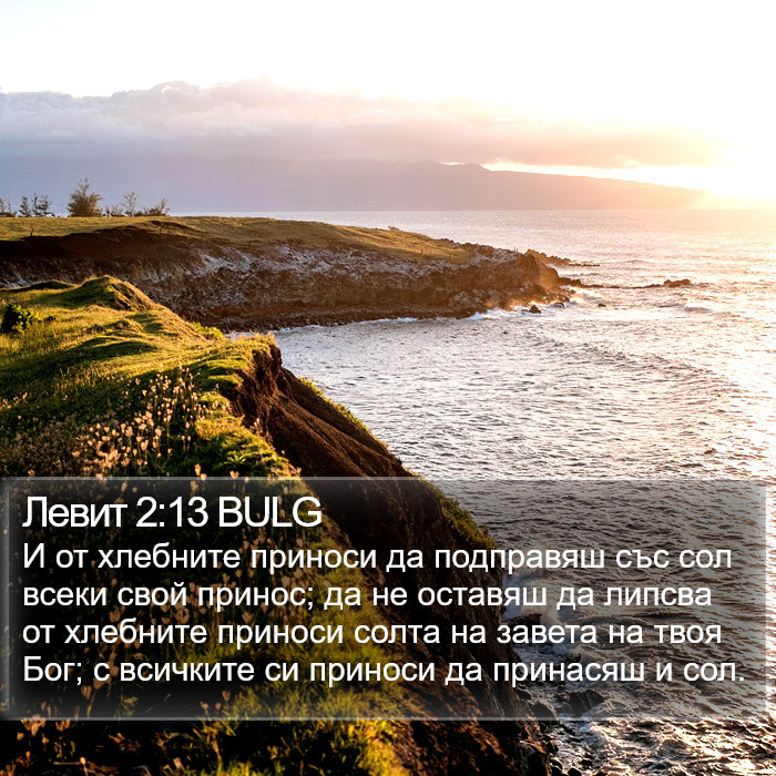 Левит 2:13 BULG Bible Study