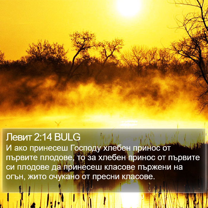 Левит 2:14 BULG Bible Study