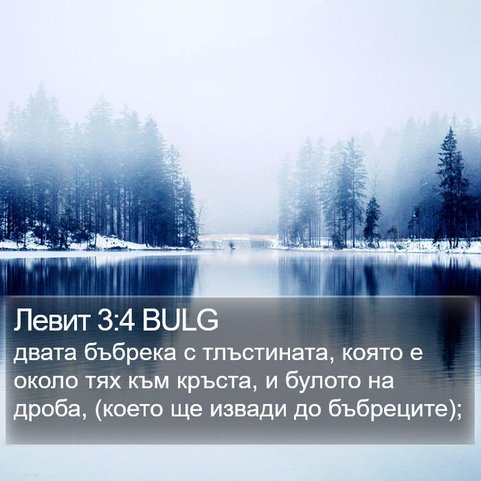 Левит 3:4 BULG Bible Study