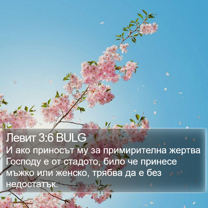 Левит 3:6 BULG Bible Study