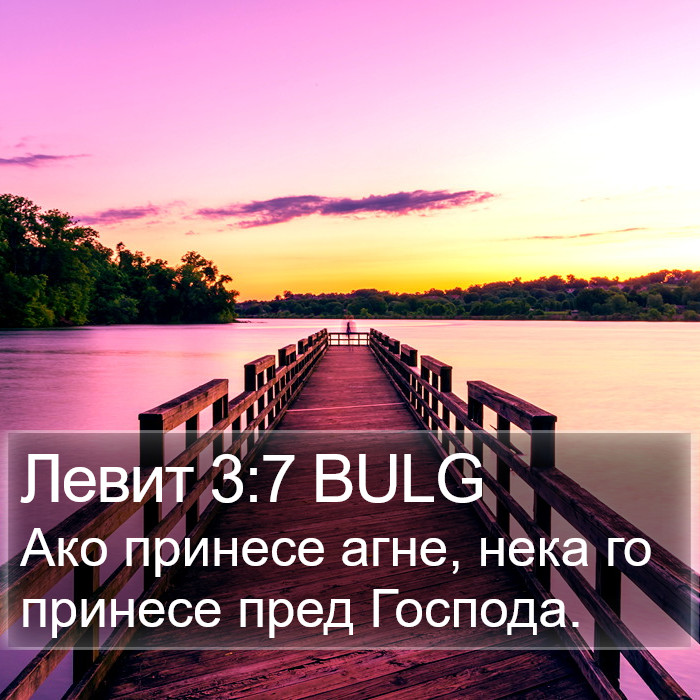 Левит 3:7 BULG Bible Study