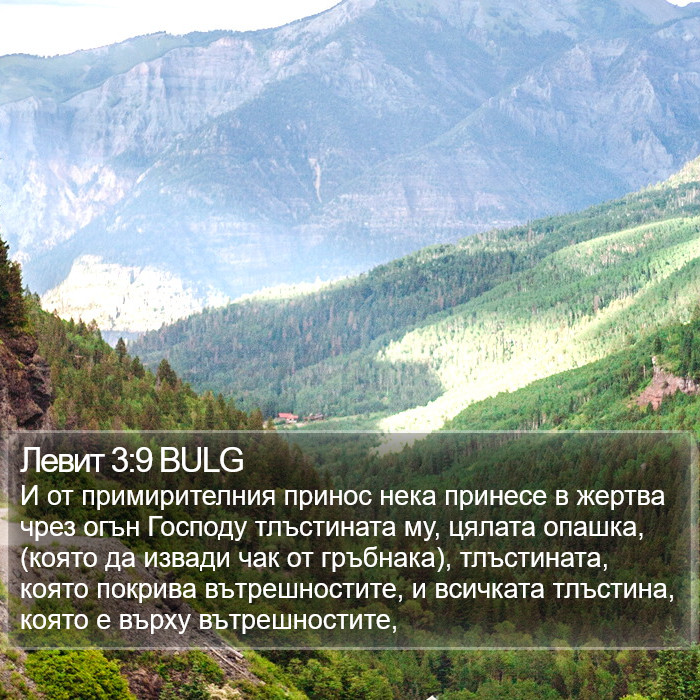 Левит 3:9 BULG Bible Study