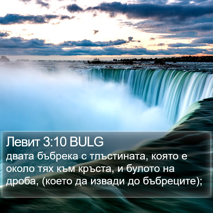 Левит 3:10 BULG Bible Study