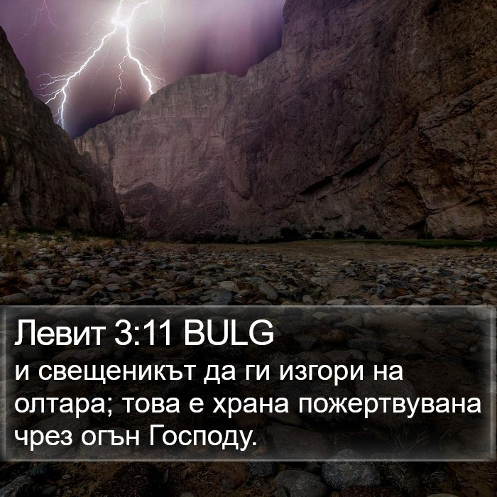 Левит 3:11 BULG Bible Study