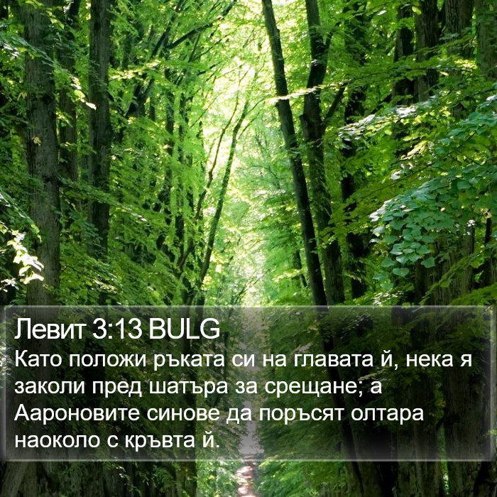 Левит 3:13 BULG Bible Study