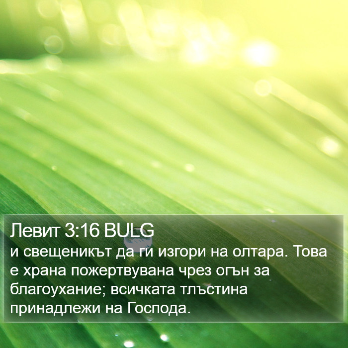 Левит 3:16 BULG Bible Study