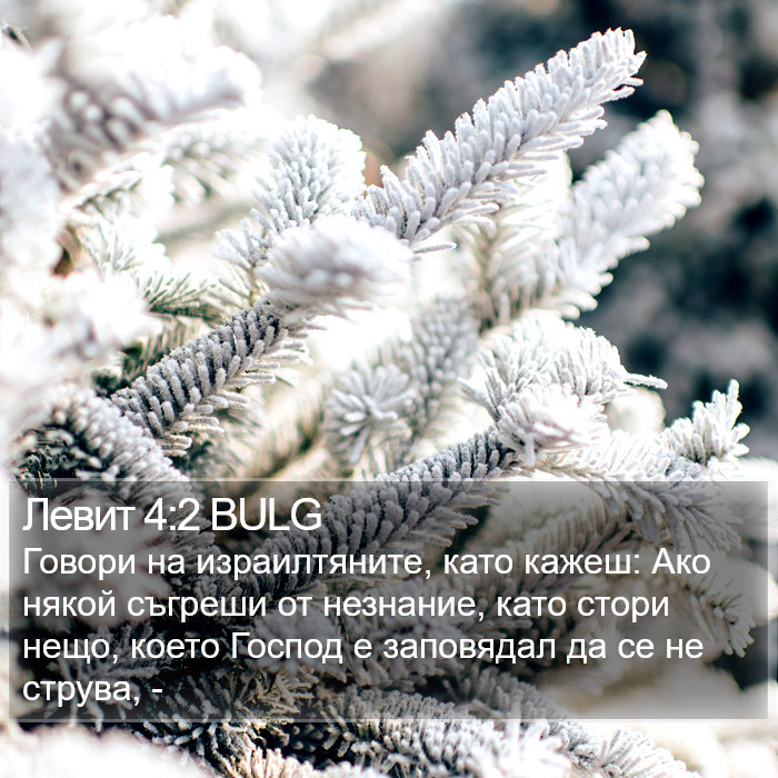 Левит 4:2 BULG Bible Study