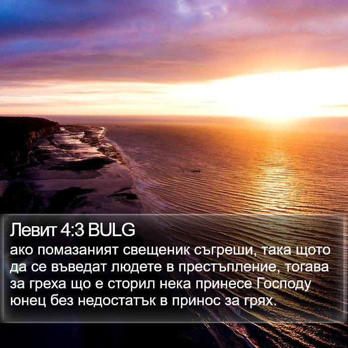 Левит 4:3 BULG Bible Study