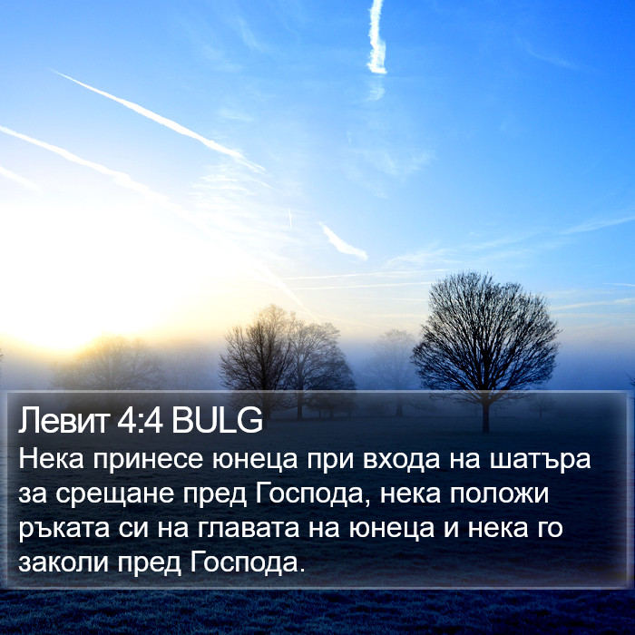 Левит 4:4 BULG Bible Study