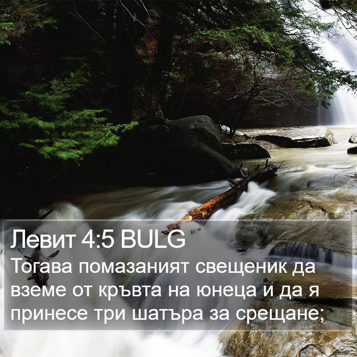 Левит 4:5 BULG Bible Study