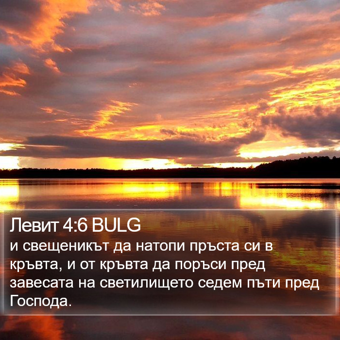 Левит 4:6 BULG Bible Study