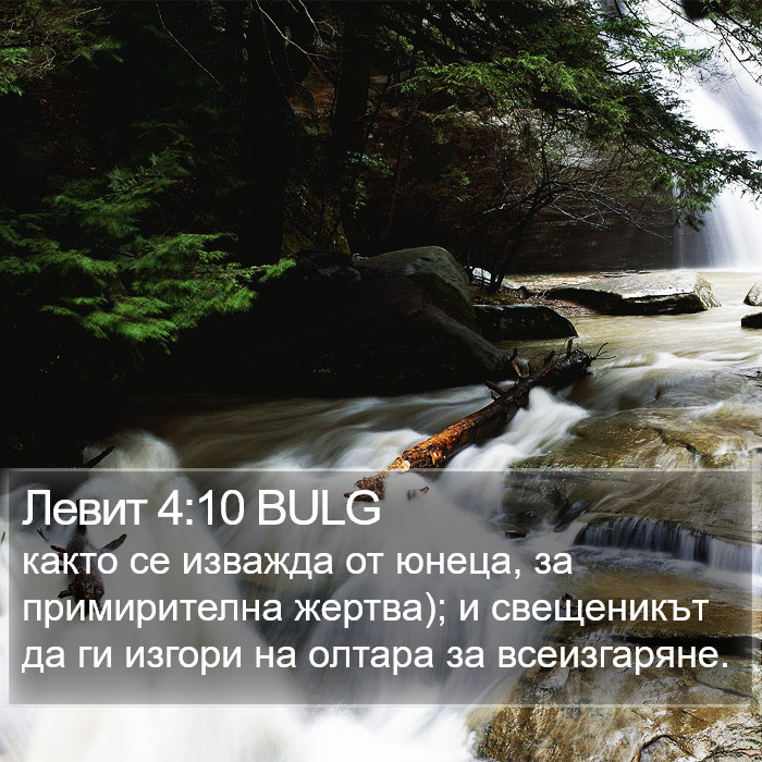 Левит 4:10 BULG Bible Study