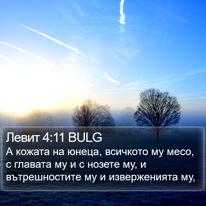 Левит 4:11 BULG Bible Study