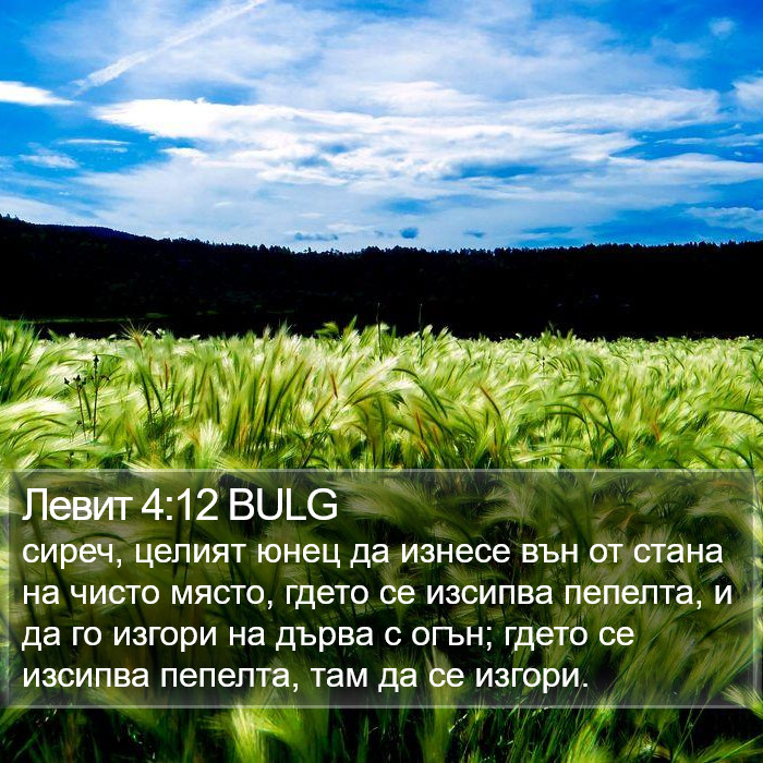 Левит 4:12 BULG Bible Study