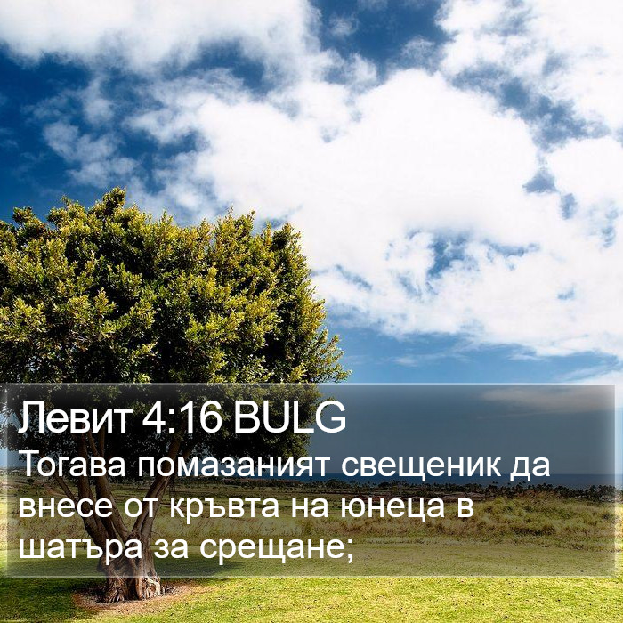 Левит 4:16 BULG Bible Study