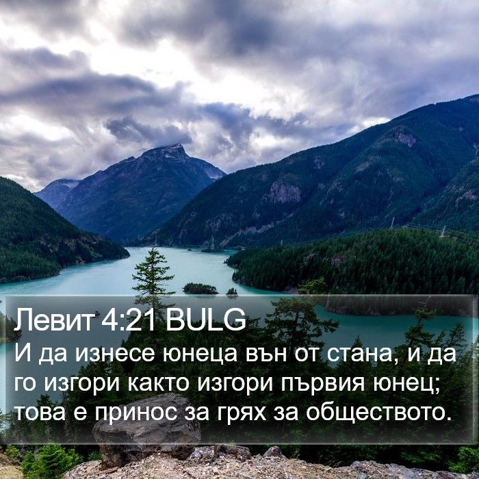 Левит 4:21 BULG Bible Study