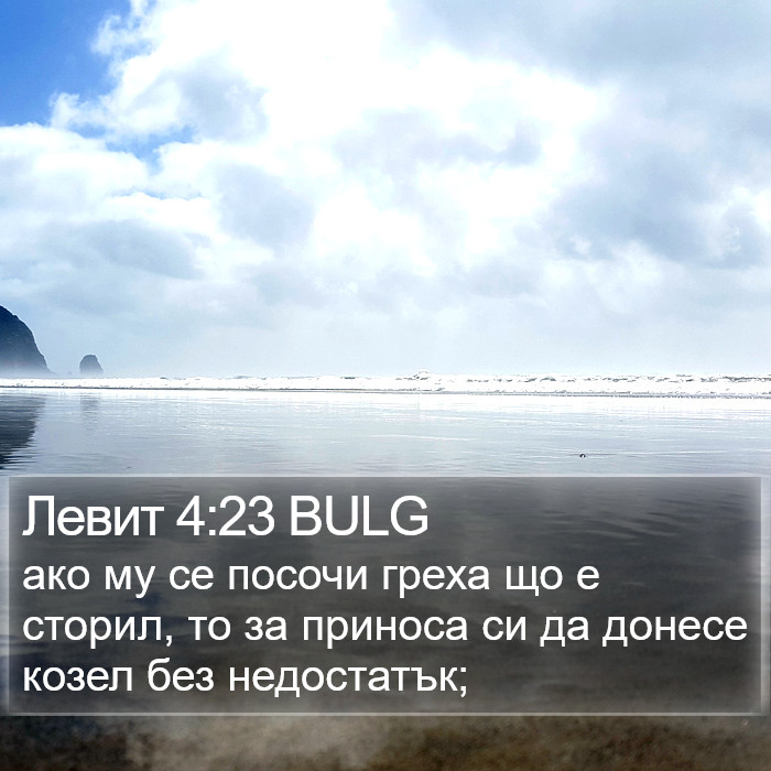 Левит 4:23 BULG Bible Study