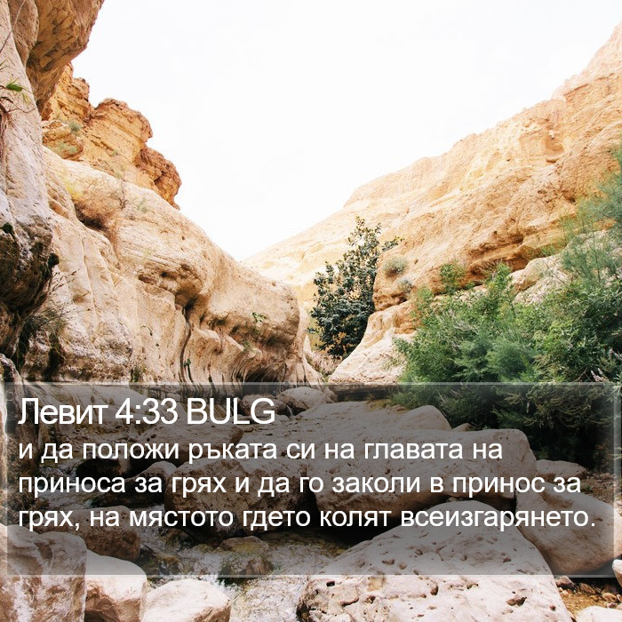 Левит 4:33 BULG Bible Study