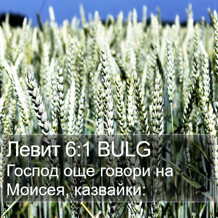 Левит 6:1 BULG Bible Study