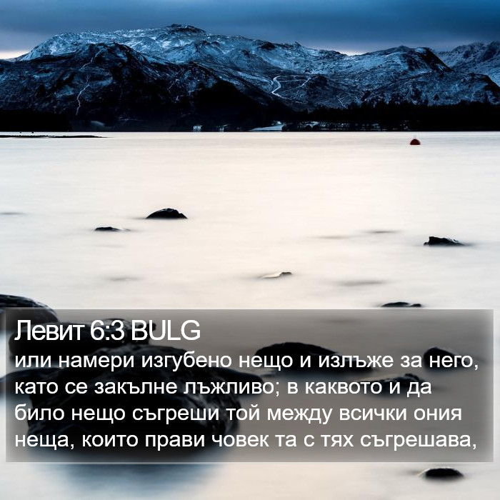 Левит 6:3 BULG Bible Study