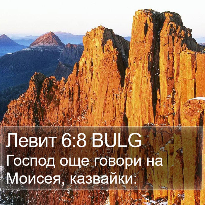 Левит 6:8 BULG Bible Study