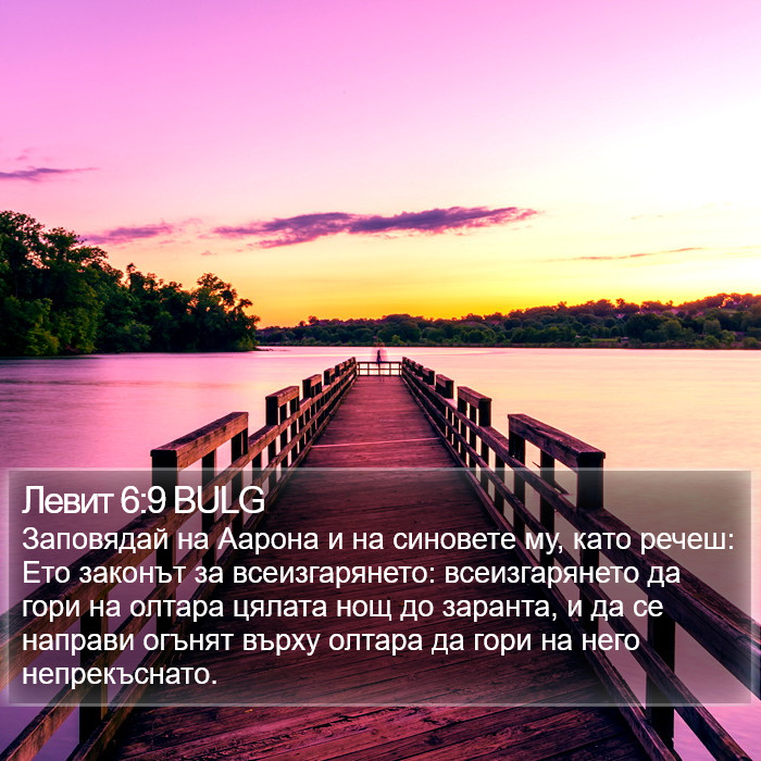 Левит 6:9 BULG Bible Study