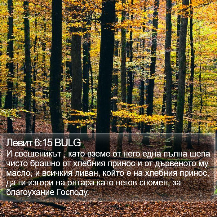 Левит 6:15 BULG Bible Study