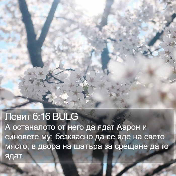 Левит 6:16 BULG Bible Study