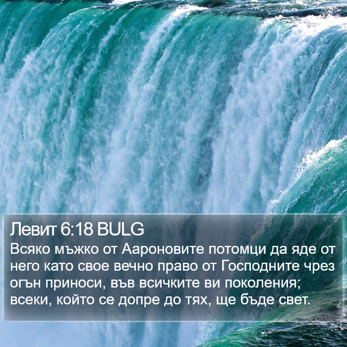 Левит 6:18 BULG Bible Study