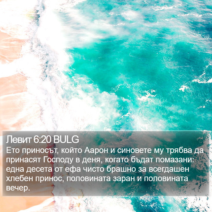 Левит 6:20 BULG Bible Study