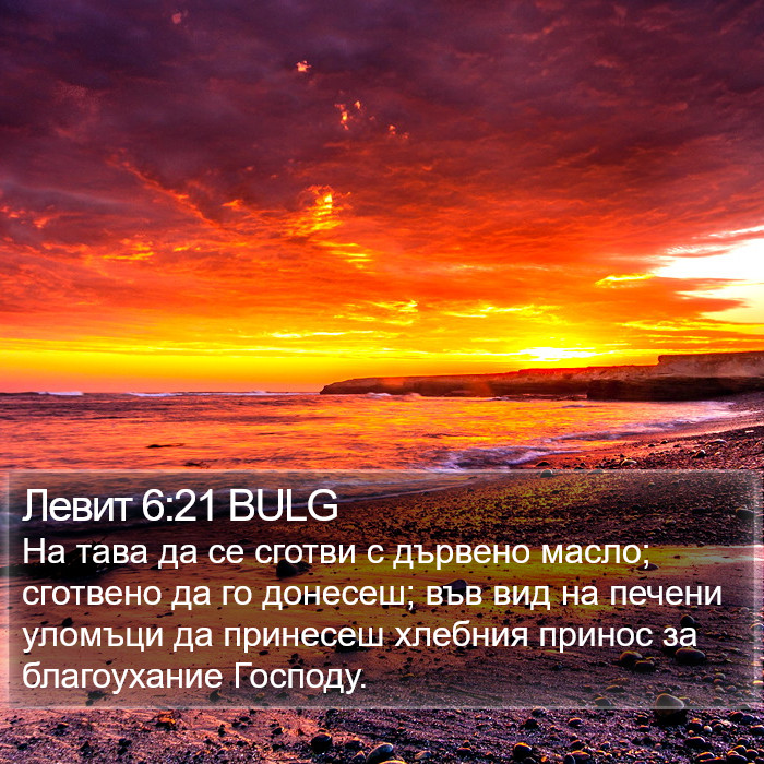 Левит 6:21 BULG Bible Study