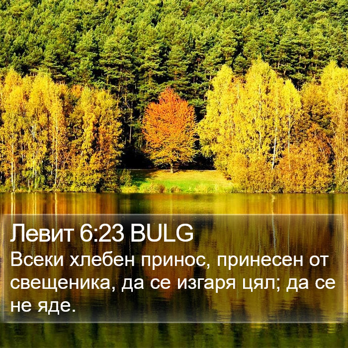 Левит 6:23 BULG Bible Study