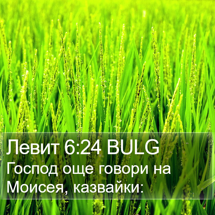 Левит 6:24 BULG Bible Study