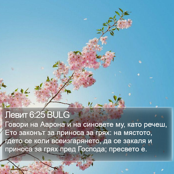 Левит 6:25 BULG Bible Study