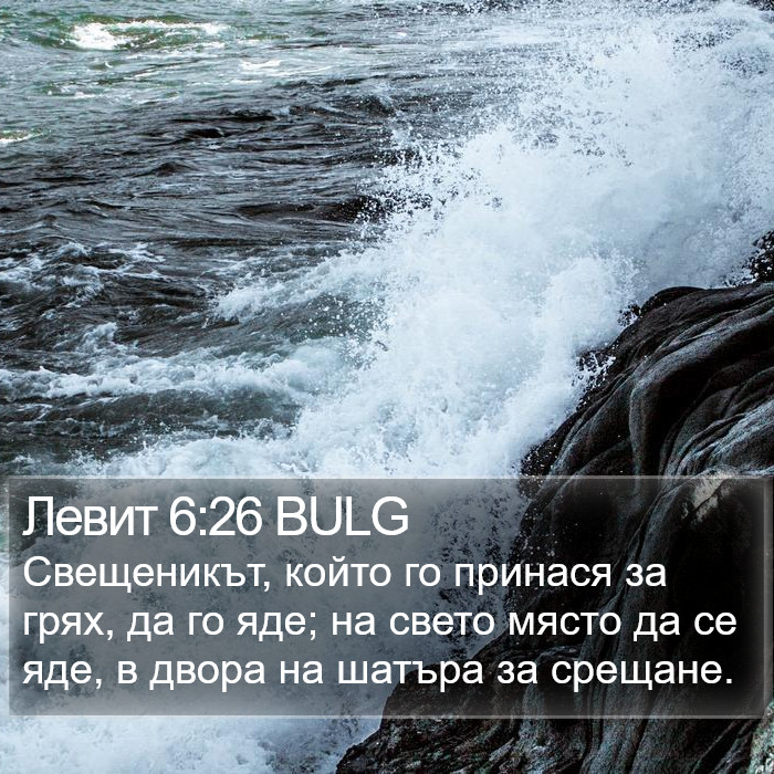 Левит 6:26 BULG Bible Study