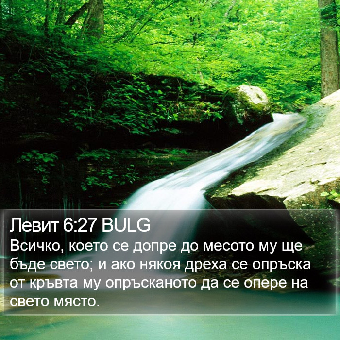 Левит 6:27 BULG Bible Study