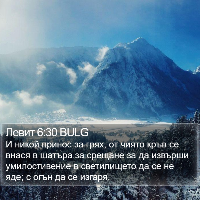 Левит 6:30 BULG Bible Study