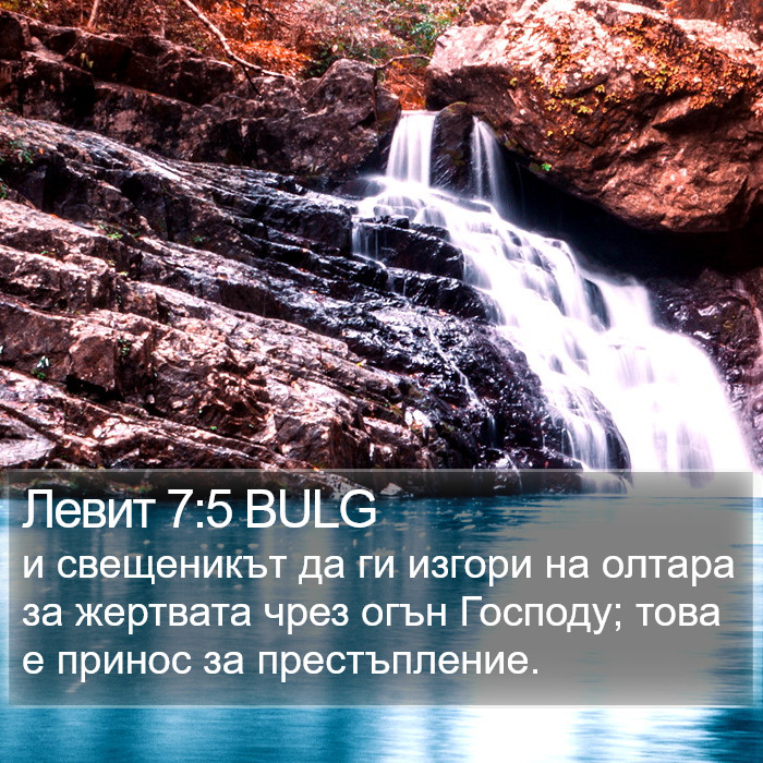 Левит 7:5 BULG Bible Study