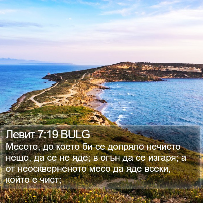 Левит 7:19 BULG Bible Study