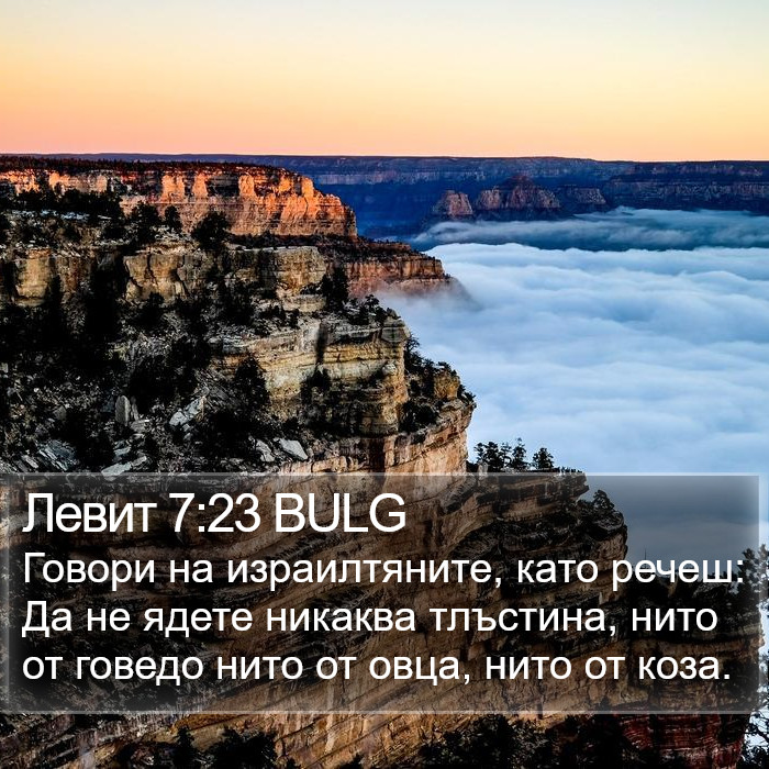 Левит 7:23 BULG Bible Study