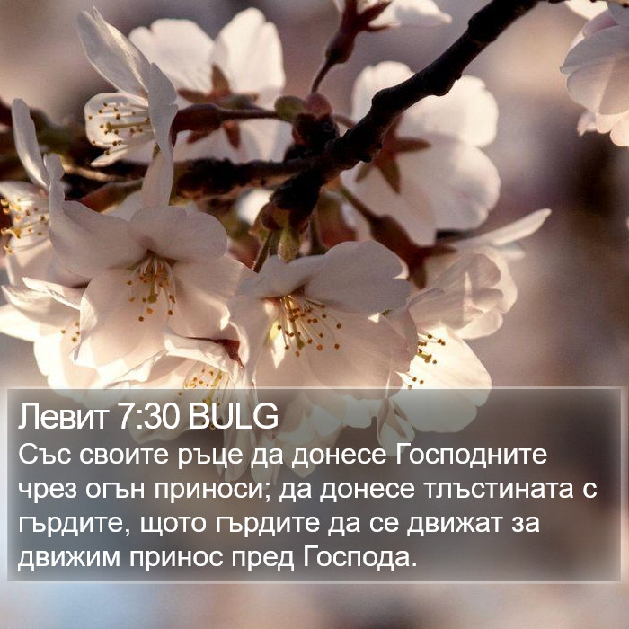 Левит 7:30 BULG Bible Study