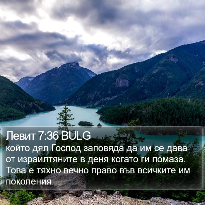 Левит 7:36 BULG Bible Study