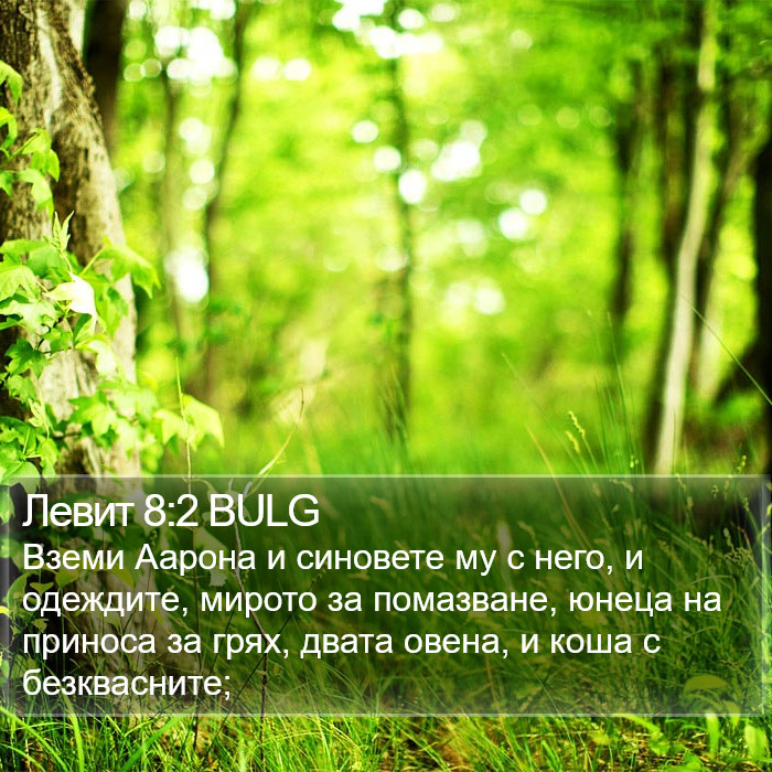 Левит 8:2 BULG Bible Study