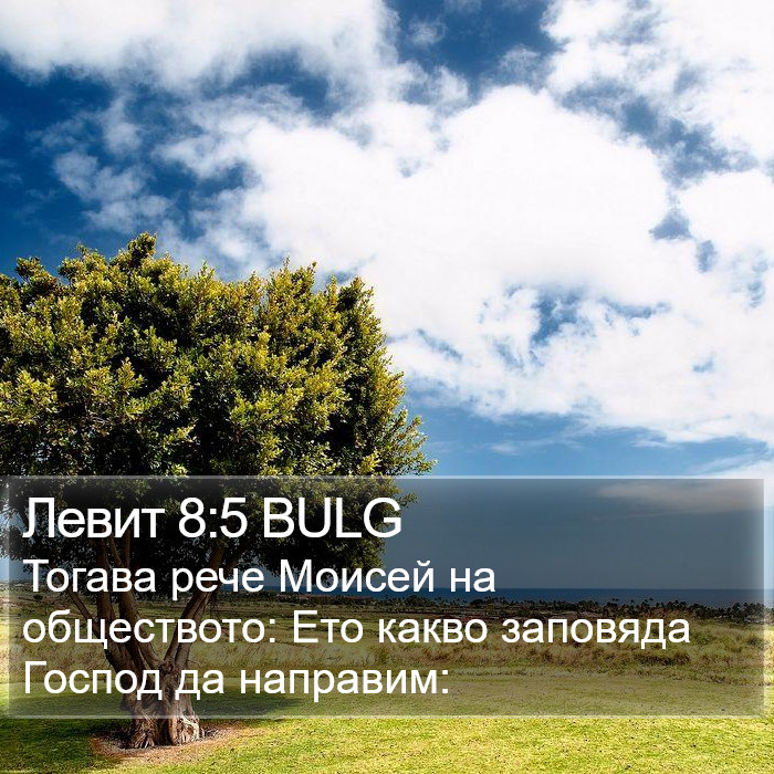 Левит 8:5 BULG Bible Study