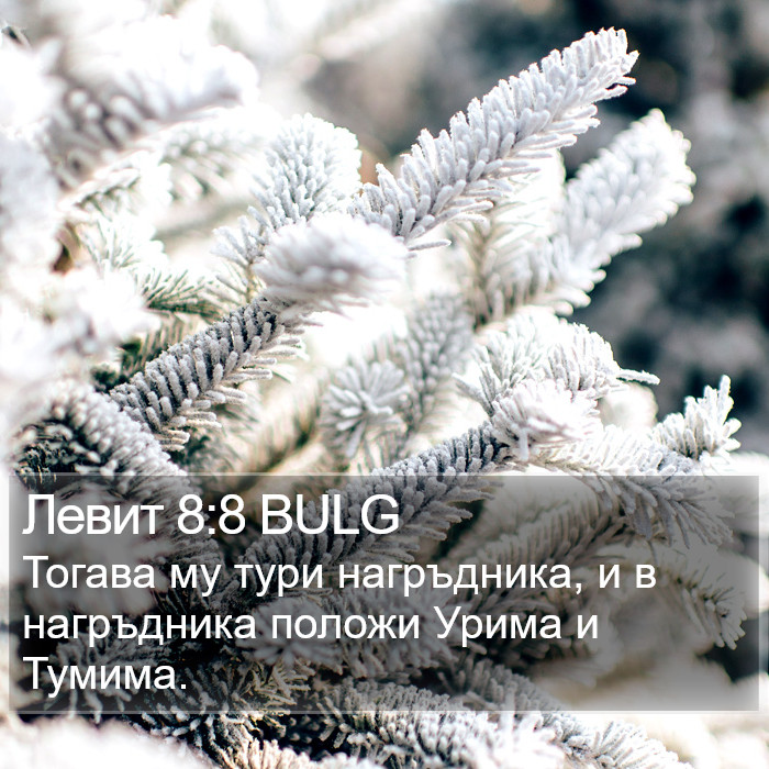 Левит 8:8 BULG Bible Study