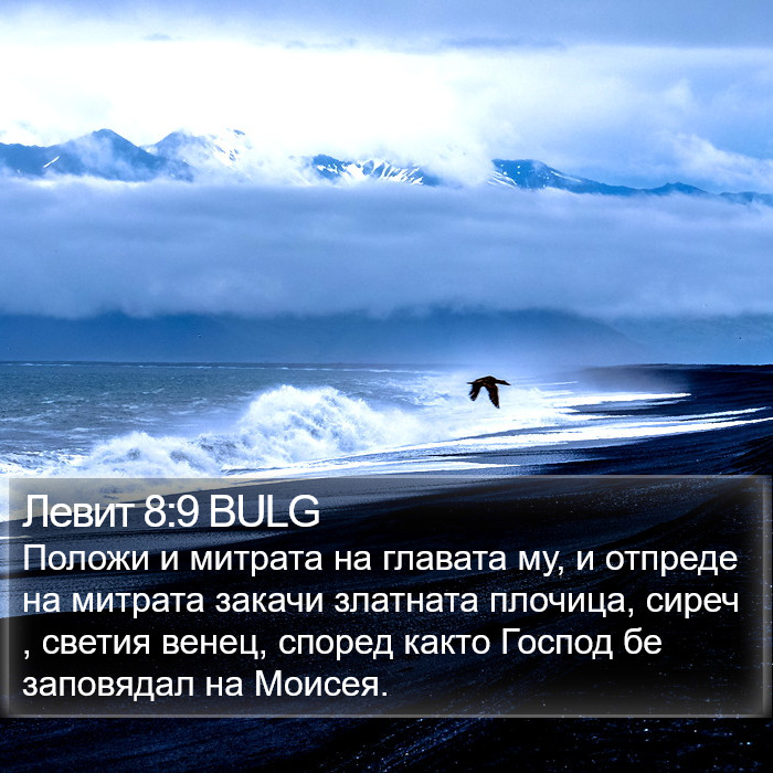 Левит 8:9 BULG Bible Study