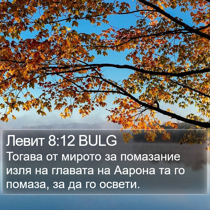 Левит 8:12 BULG Bible Study