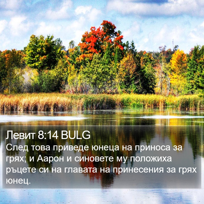 Левит 8:14 BULG Bible Study