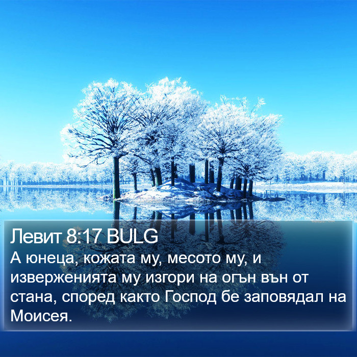 Левит 8:17 BULG Bible Study